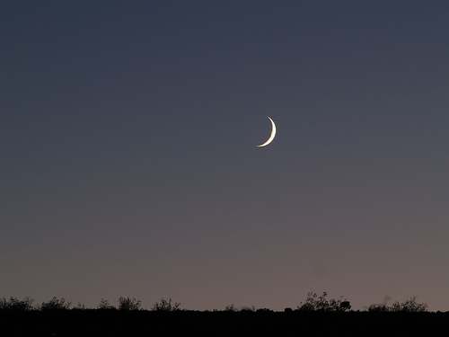 [moon+cold+dry.jpg]