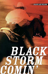 Black Storm Comin' by Diane Lee Wilson