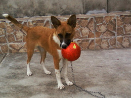 Princesa