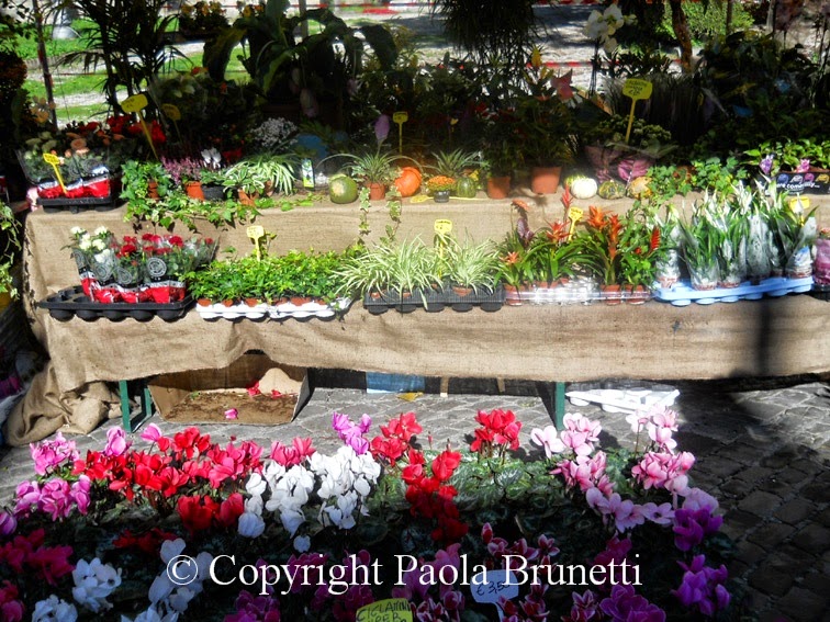 One Night In Paris Stream