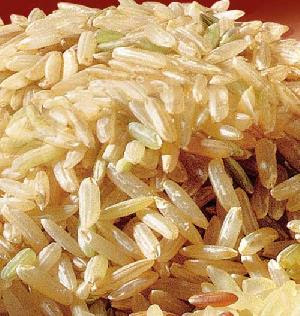 riz+gp2.jpg riz+gp2.jpg