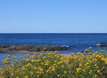 Lake Superior, Marquette, MI