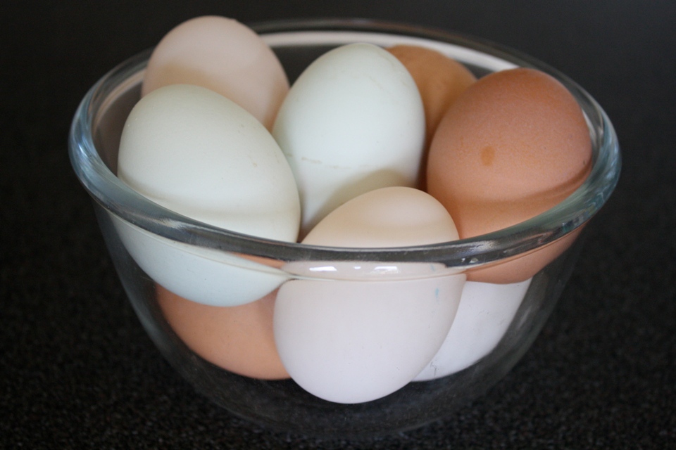 [Bowl+of+eggs.JPG]