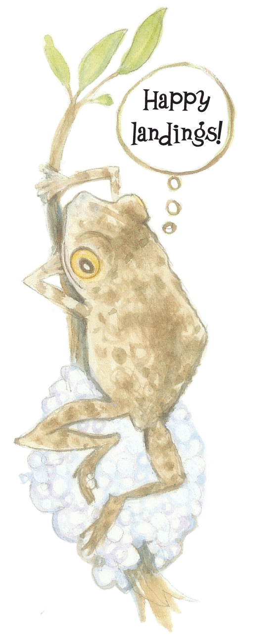 [P43b+BUBBLEHOMES+spot.gif]