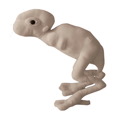 splice creature splice creature
