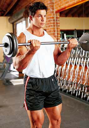Bodybuilding Routine Barbell
