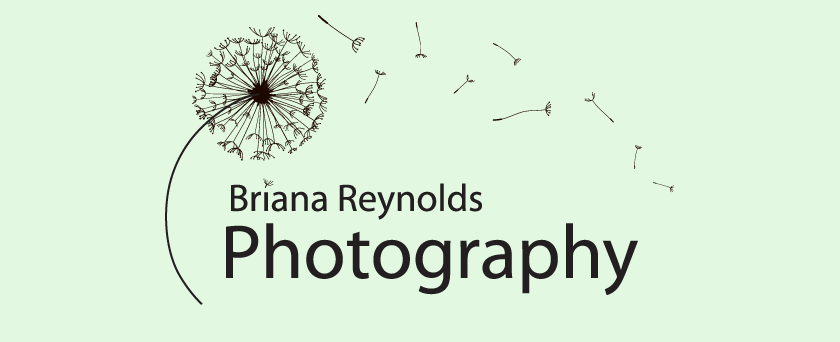 Briana Reynolds Photography