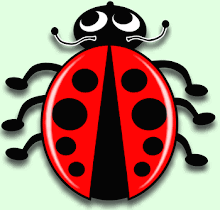 The Lost Lady Bug Project