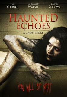 Haunted Echoes 2010 Hollywood Movie Watch Online