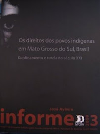 RELATÓRIO -  Os direitos dos povos indígenas em Mato Grosso do Sul, Brasil