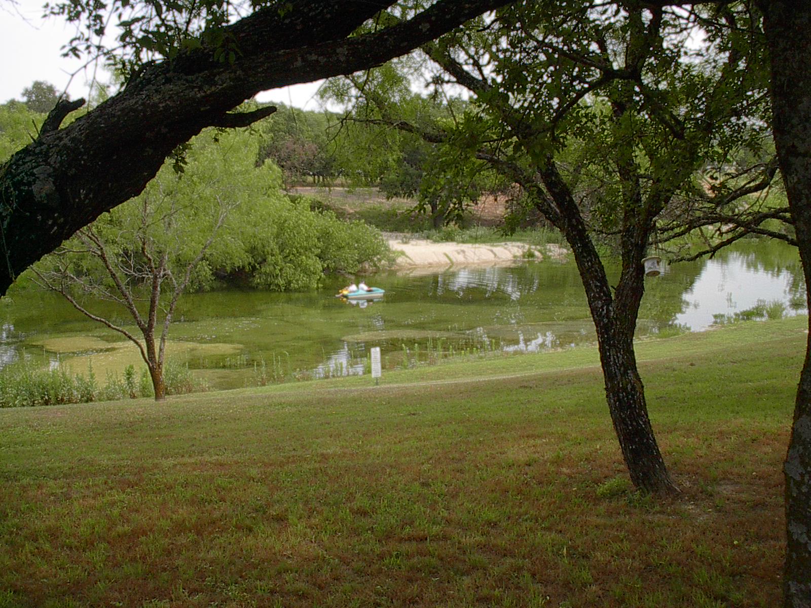 Barbara's Adventures Pictures of Miller Creek