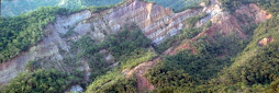 Sección tipo de la F.  Isnotú-Quebrada La Hormiga, estado Trujillo.