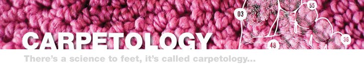 The Carpetology Blog