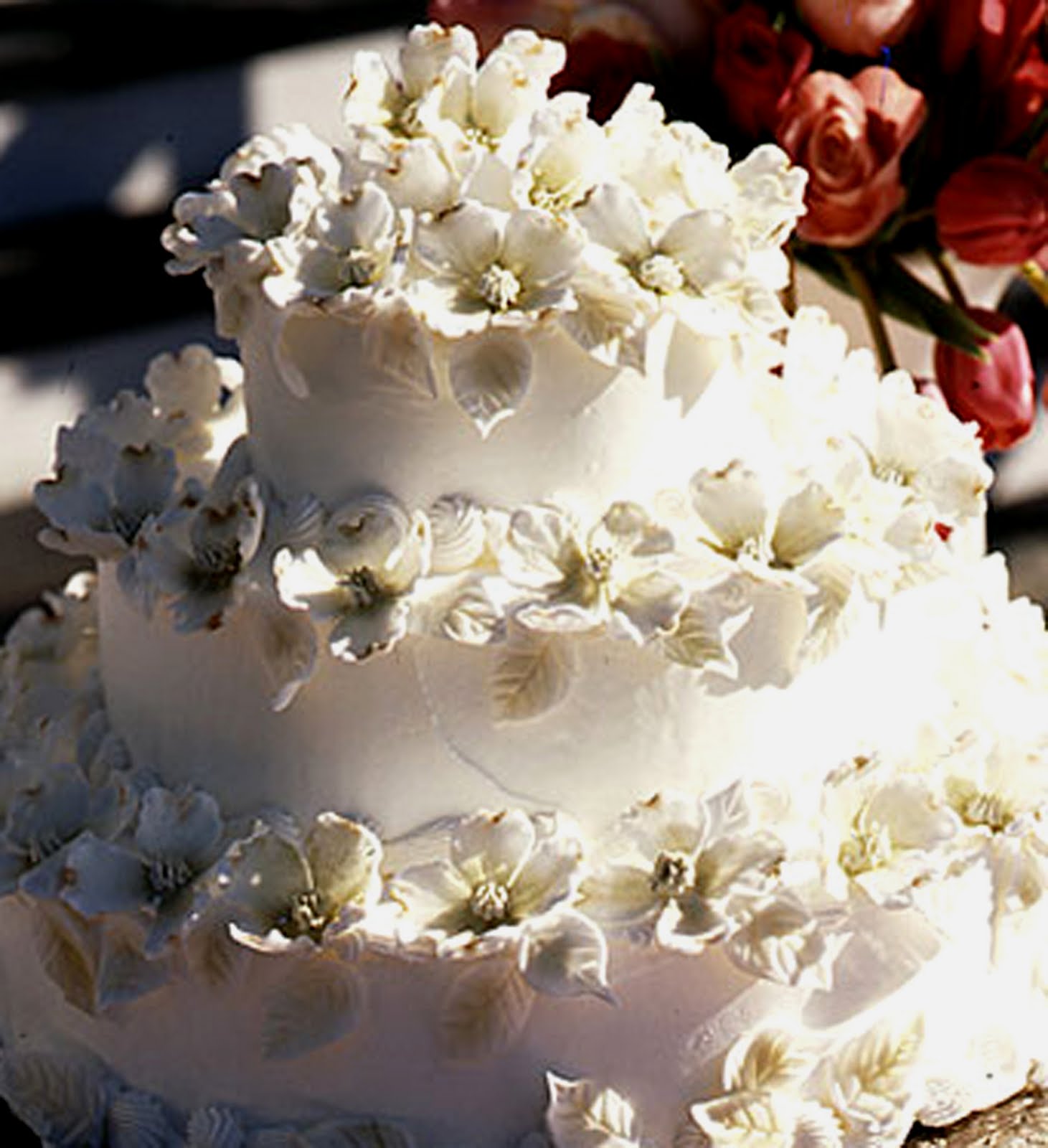 Plant Preview Dogwood Blossom Wedding Cake
