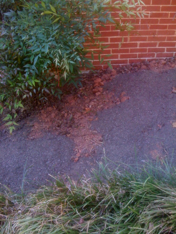 Nature S Helper Mushroom Compost Nature S Helper Mushroom Compost