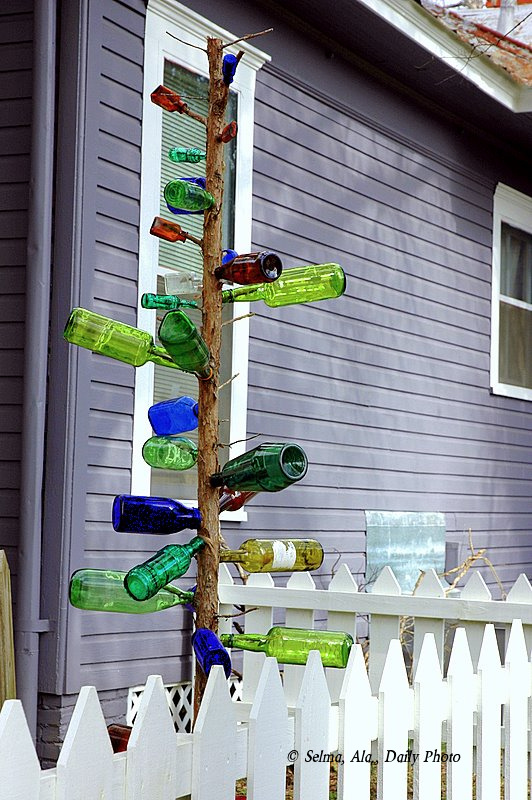 Plant Preview Top 10 Tips to Recycle Christmas Trees