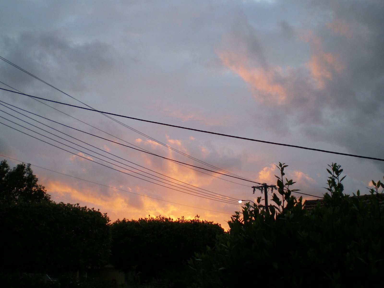 [Sam+sunset.jpg]