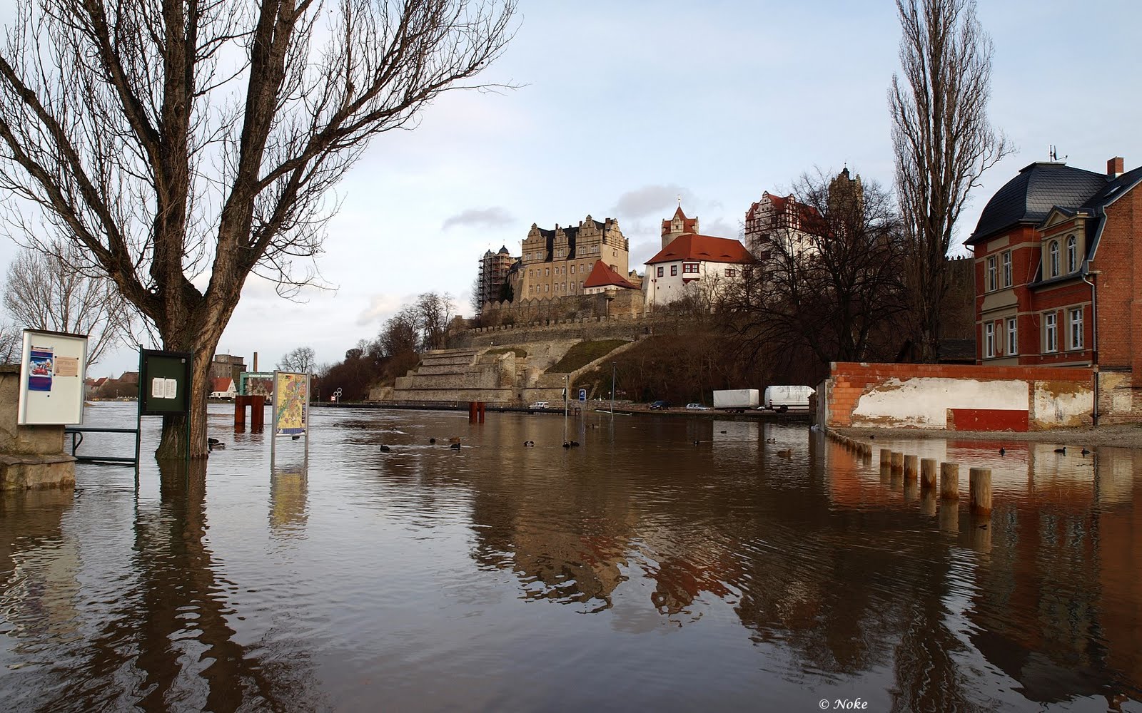Fotos von Noke Hochwasser in Bernburg an der Saale