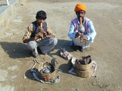[Indian-snake-festival-(17).jpg]
