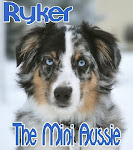 ♥BROTHER RYKER'S BLOG♥