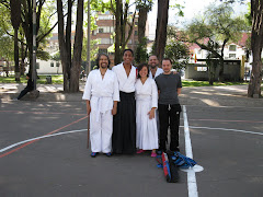 Practica de Jo_Dojo Do invitado especial  Alejandro Ondo1 Junio 2009