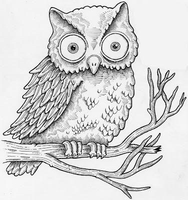 owls drawing pictures