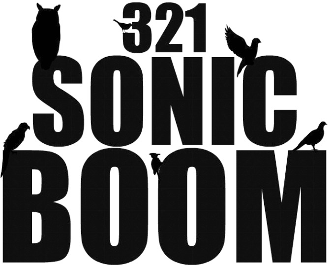 321..SONIC BOOM!