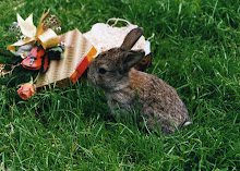 Noch ein Hase in der Wiese, aber den