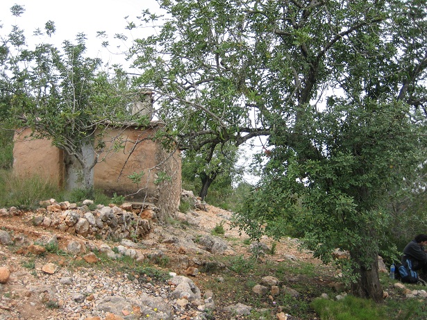 Casa Metge Gata Forna