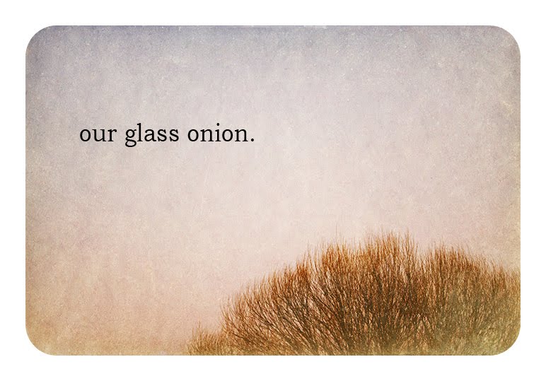 looking through our glass onion.