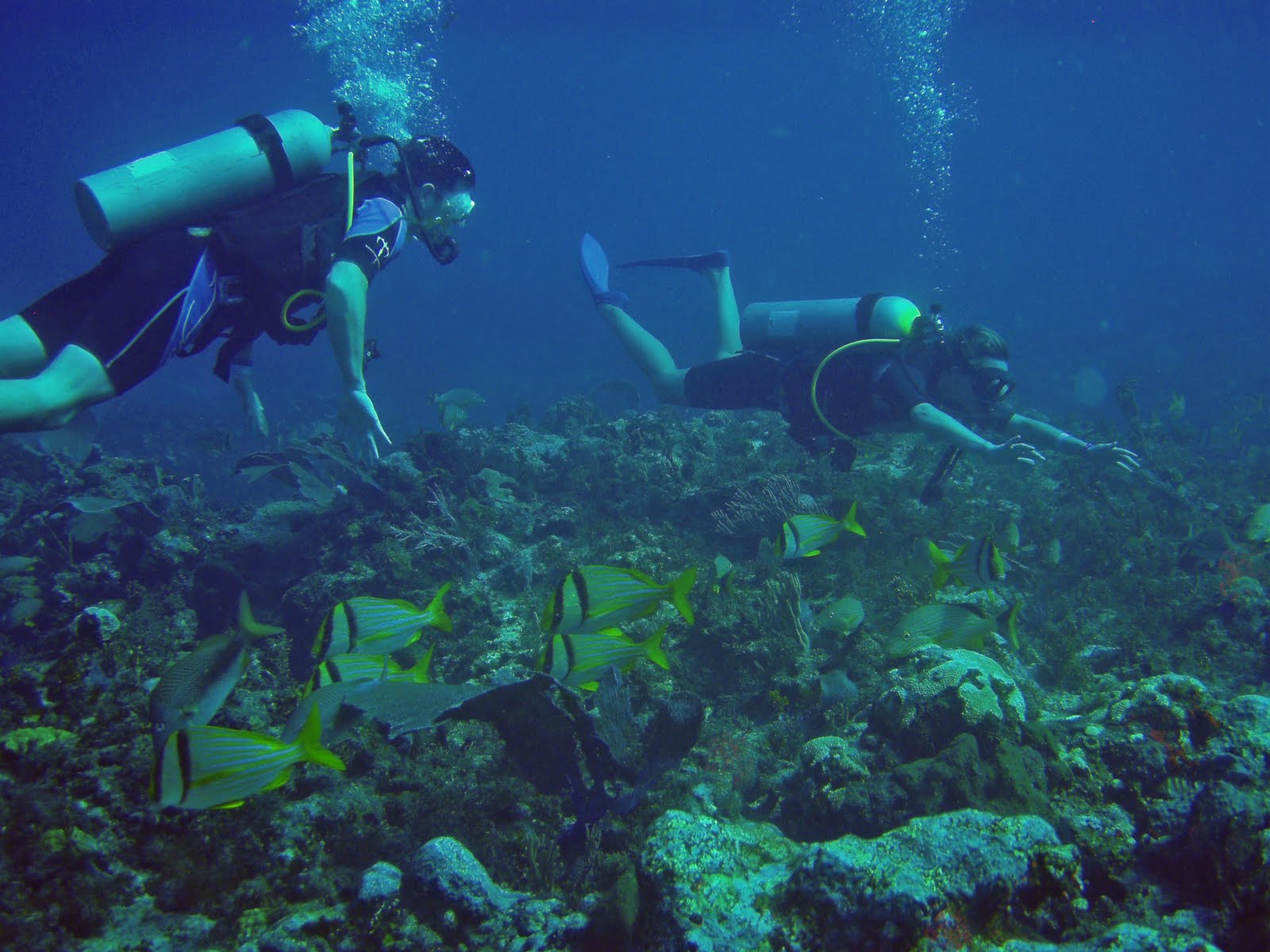 Todd Family Scuba Diving in Cancun Dec. 2009