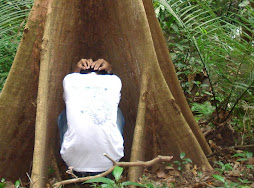 hide and seek