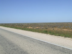 THE Nullabor (no tree)