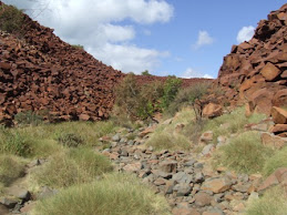 rock carvings site