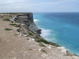 the tall cliffs of the bight