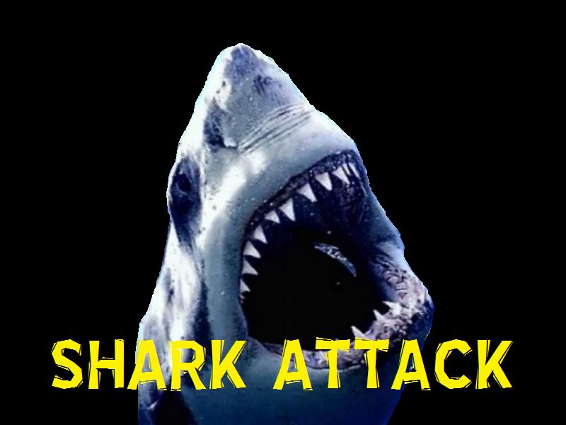 Shark Attack