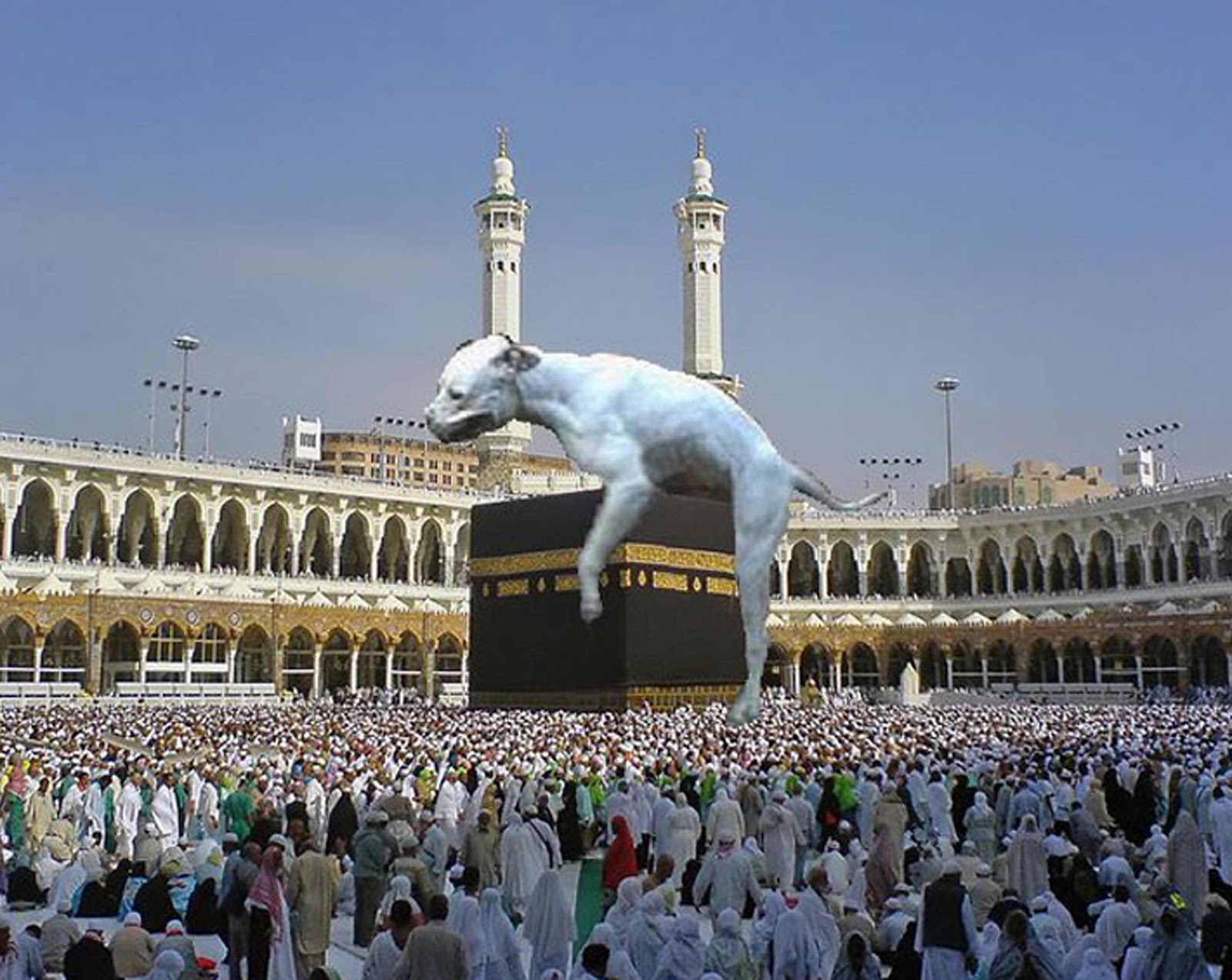 Dog+Fuck+Mecca.jpg