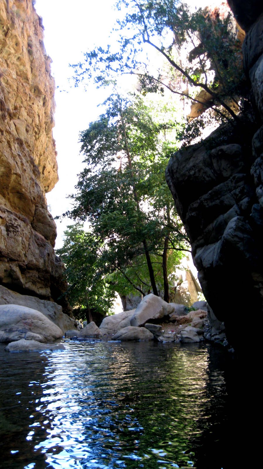 the.love.account August 1316 Ojai Punch bowls, niking, stars