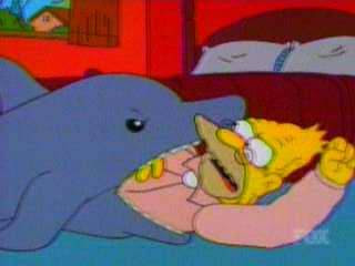 dolphin.jpg
