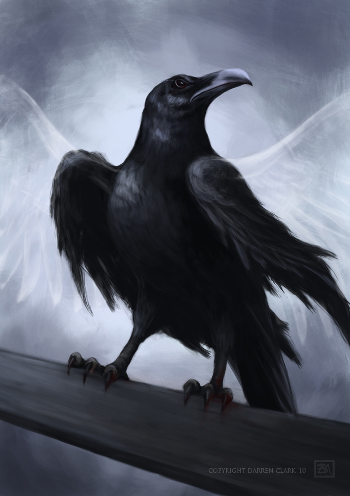 Bridget Monro Illustration Raven Boy A Novel By Darren Clark