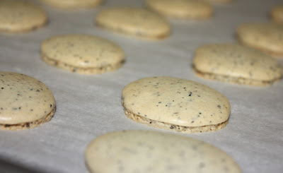 Cee in the Kitchen: oh macarons, you finicky bastards