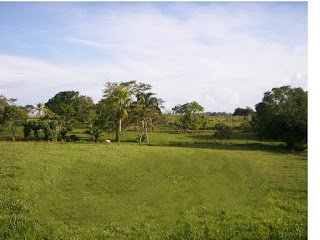 Nuria Bargues 4a: Paisaje sin sombra