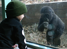 Jake meets gorilla