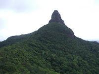 Pico Dama, Biosfera de Río Plátano