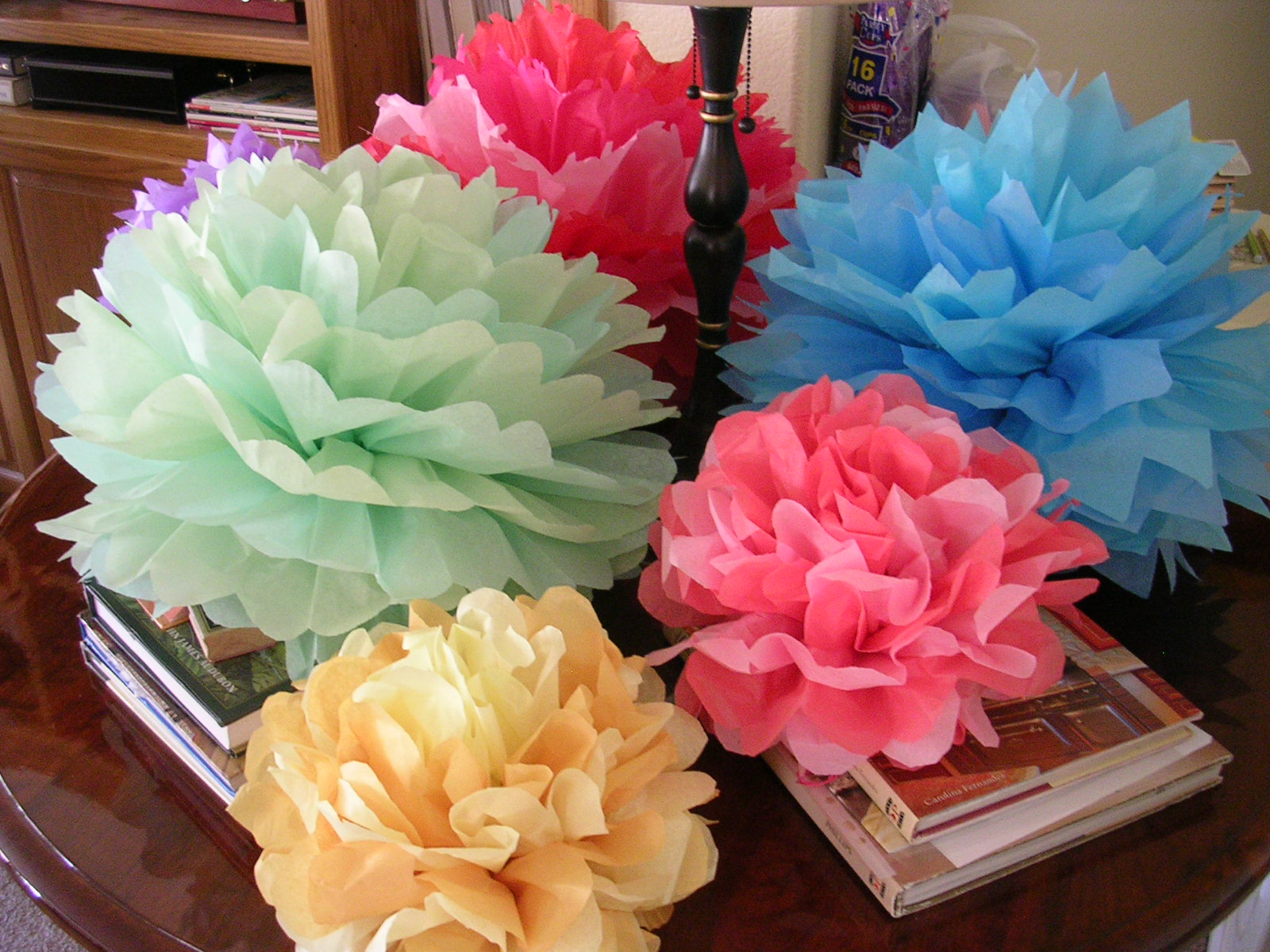 Imagine Out Loud Tissue Paper Pom Poms