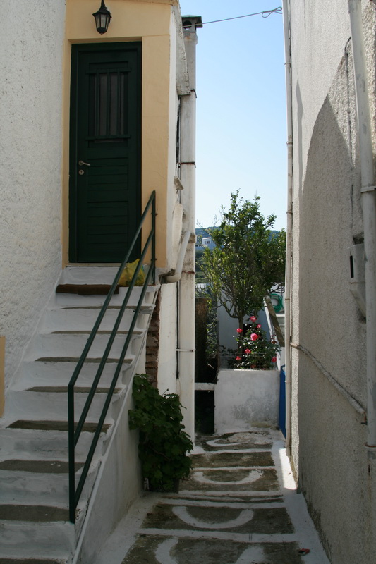 [IMG_3620.jpg]