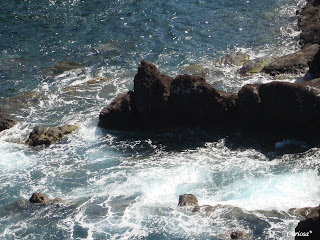 DSC03552.JPG