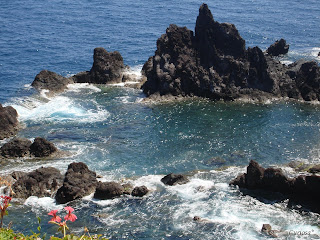 DSC03539.JPG