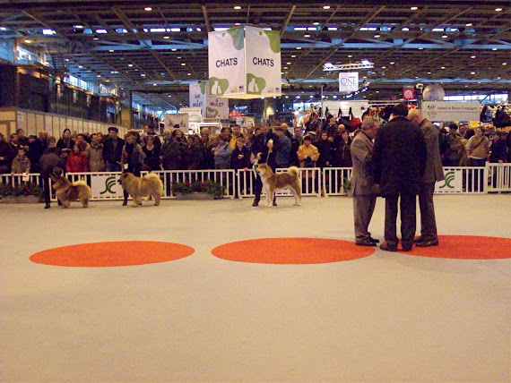 DELIBERATION DES JUGES