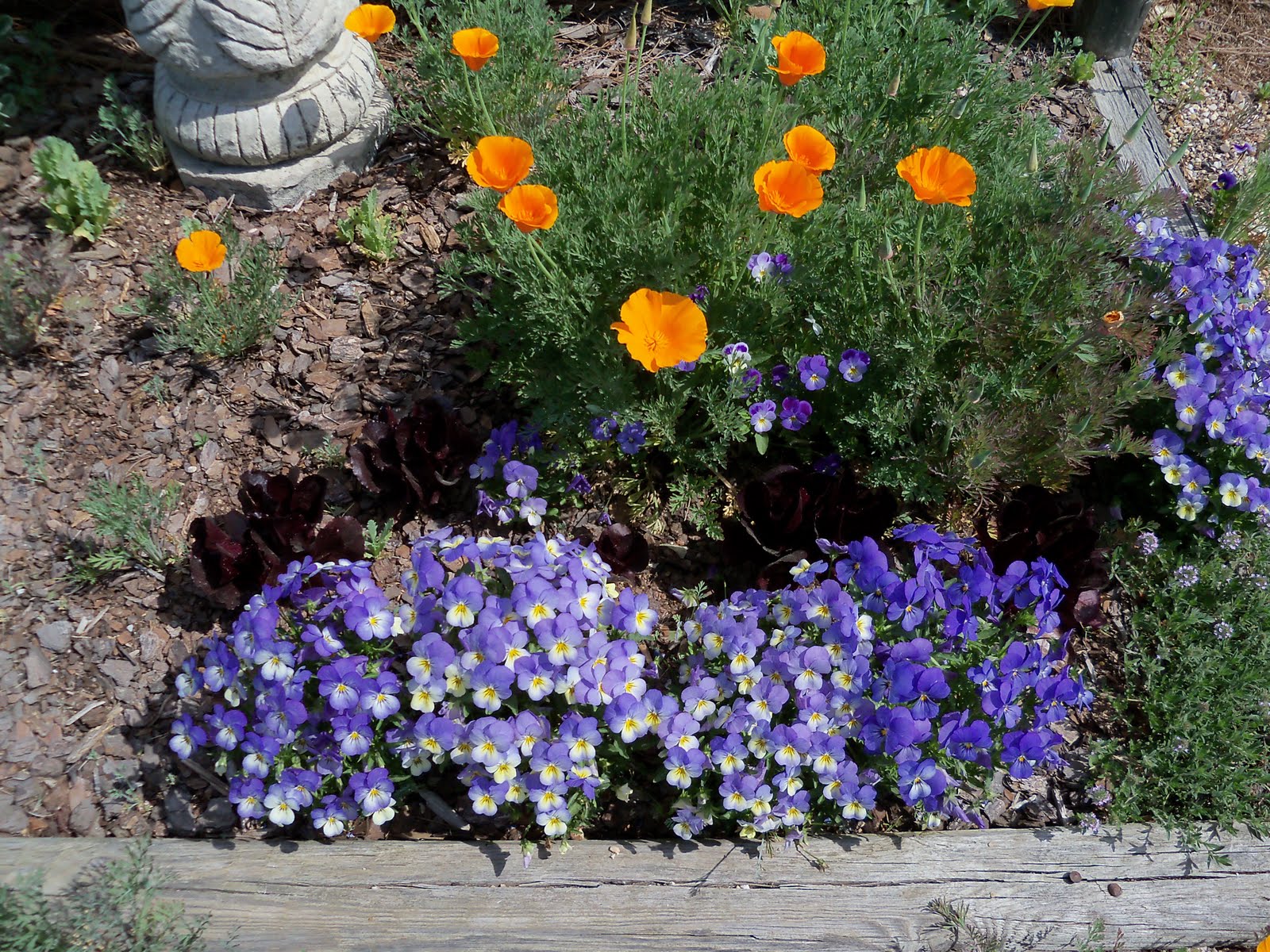 Charm and Grace Cottage Petals From the Past Nursery Tour